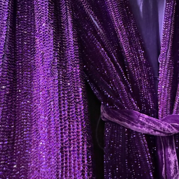 Retrofête gabrielle velvet-trimmed sequined chiffon mini wrap dress, Size M - Picture 13 of 13